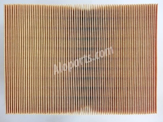 Ảnh của Mann-filter C25114 - Lọc gió động cơ